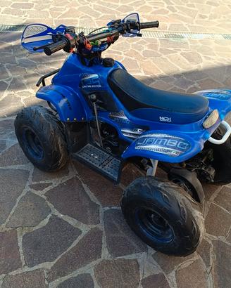 Mini Quad 50cc