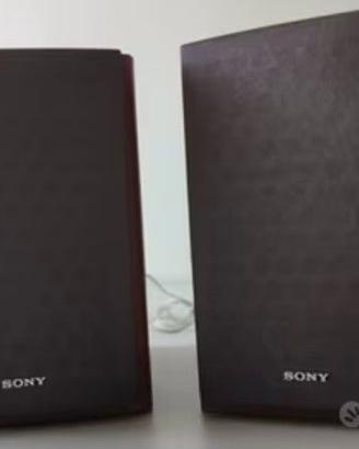 Casse audio Sony SS CCPX11