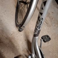 bici a pedalata assistita