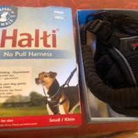 Halti Pettorina small anti tiro NUOVA