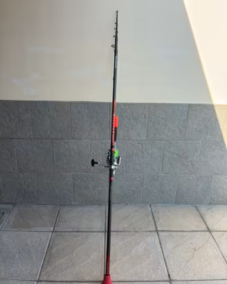 Canna storione daiwa ninja H