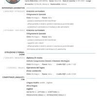 Pulizia, giardiniere, operaio