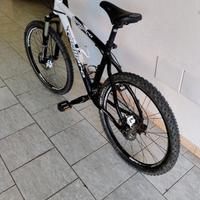 Mtb tagliaro 26