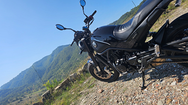 Benelli leoncino 500