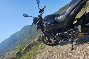 Benelli leoncino 500