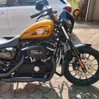 harley davidson 883 