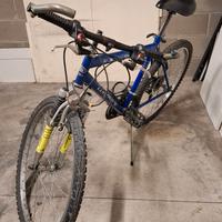 Bicicletta MTB da uomo.