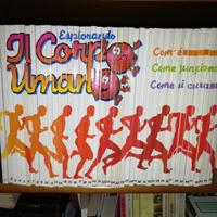 Esplorando il Corpo Umano TUTTI VOLUMI dal 1 al 45