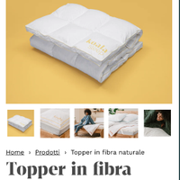 Topper Koala sleep
