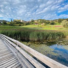 Vacanze con il cane e non solo