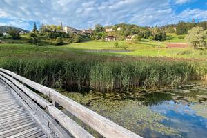 Vacanze con il cane e non solo