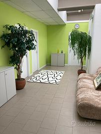 Stanza in studio/ufficio condiviso