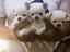 Immagine 1