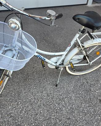 bici con cestino 
