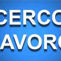 Cassiera,operaia di linea,cameriera.tavola calda