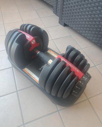 manubrio palestra peso  regolabile 