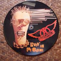 Aerosmith picture vinile 1993