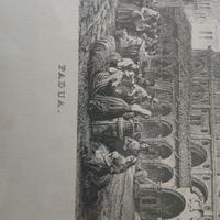 stampa veduta di padova