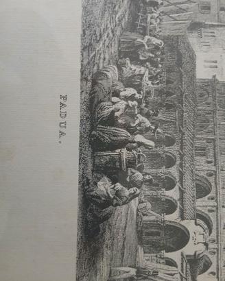 stampa veduta di padova