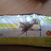 ATTREZZI PER AGILITY CANE