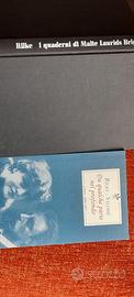 Rainer Maria Rilke:Lettere a Lou vongole Salome'