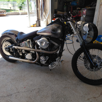 Harley davidson softail custom