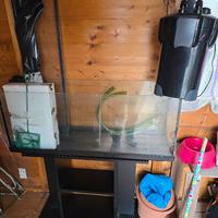 acquario con pompa esterna e lampada 