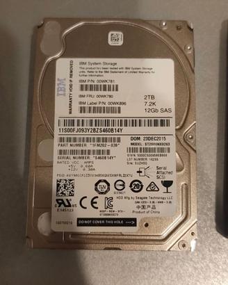 SAS 2TB Harddisk IBM