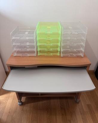 Scrivania porta computer e organizer