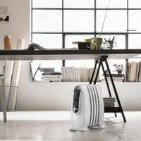 Radiatore ad Olio de'Longhi usato poco