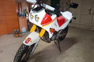 Yamaha TDR 125 Belgarda