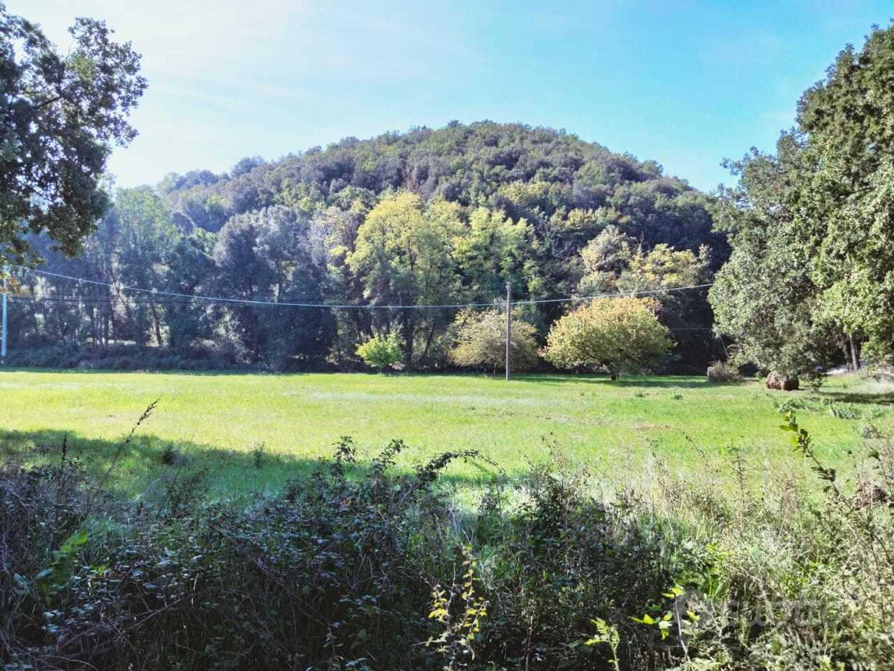 Prato a Amelia - Vista 2