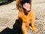 Immagine 6