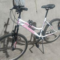 Mountain bike 26 donna