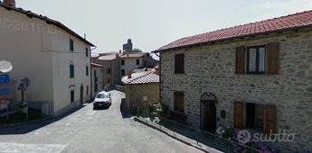 Montemignaio loc. castello. tetto nuovo. composto