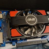 scheda video Asus GT730 4GB DDR3