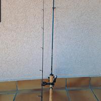 Canna da pesca Technium DF