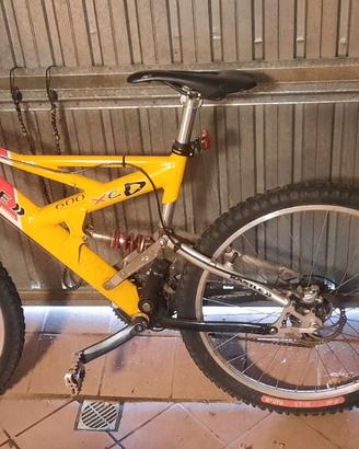 mtb Kastle