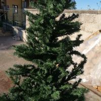 Albero di natale
