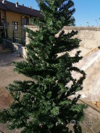 Albero di natale