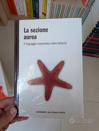 Mondo matematico - sezione aurea