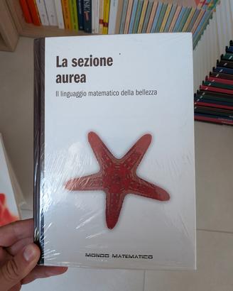 Mondo matematico - sezione aurea