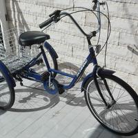 Bicicletta a Tre Ruote Triciclo