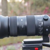 Sigma 150-600 attacco Nikon