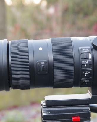Sigma 150-600 attacco Nikon