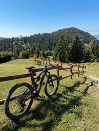 Amflow pl pro carbon e bike