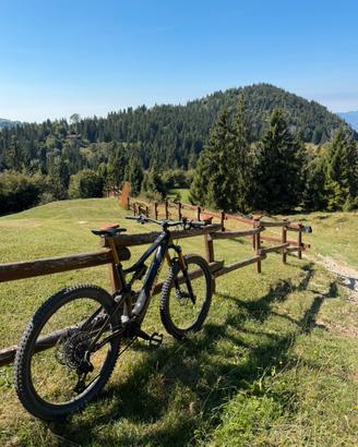 Amflow pl pro carbon e bike