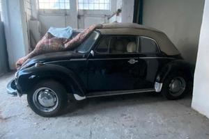 ⚠️ MAGGIOLINO 72