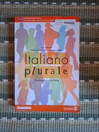 Testo scolastico Italiano plurale