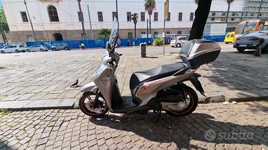 sh300 sport 2020
